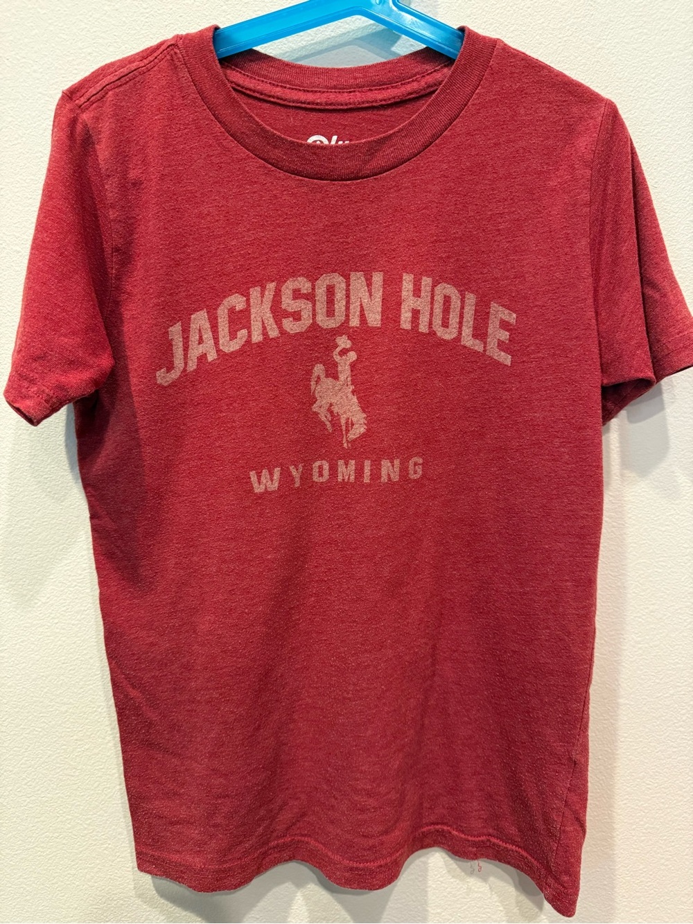 Blue 84 Red Jackson Hole Wyoming Graphic Kids Tee